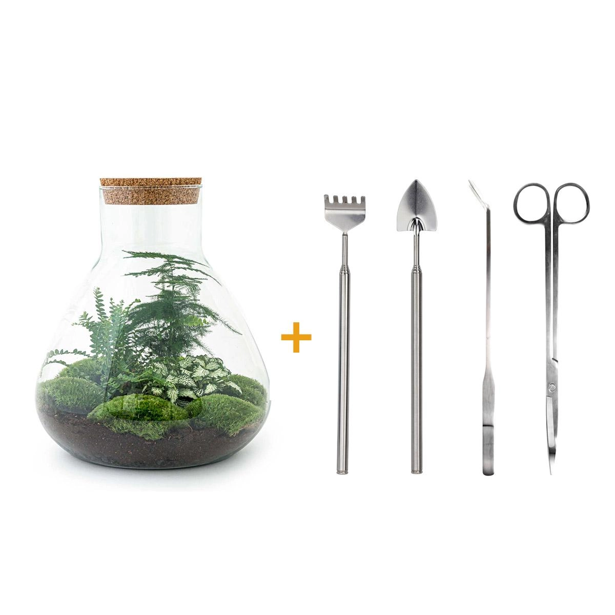 Do-It-Yourself Flaschengarten Set