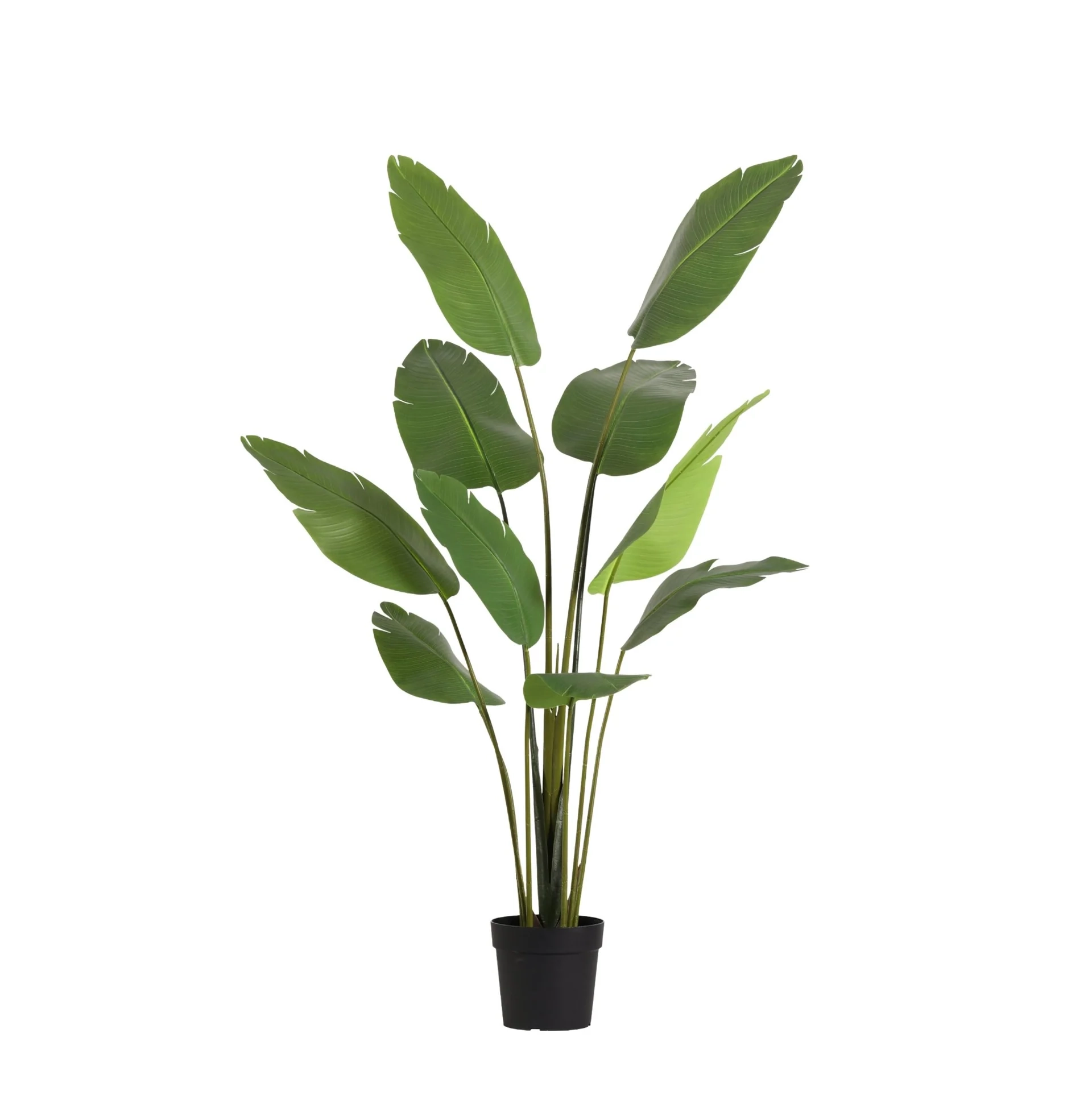 Künstliche Strelitzia Nicolai - Tropische Eleganz für Dein Zuhause