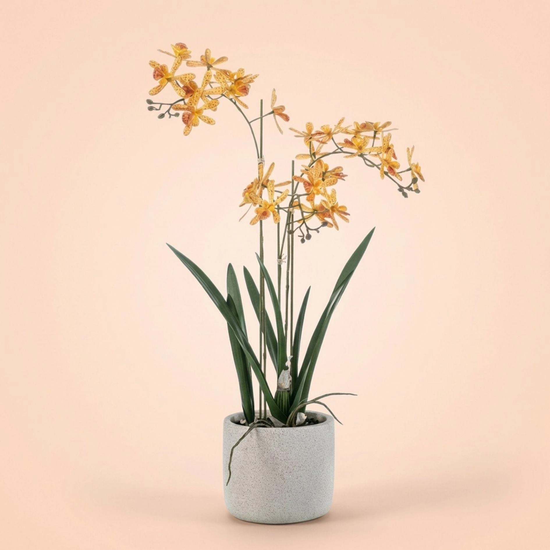 Renanthera Orchidee (künstlich) – 56 cm