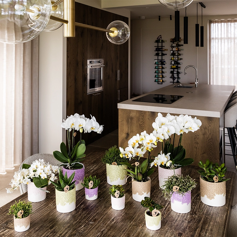 Bloompot in Grün