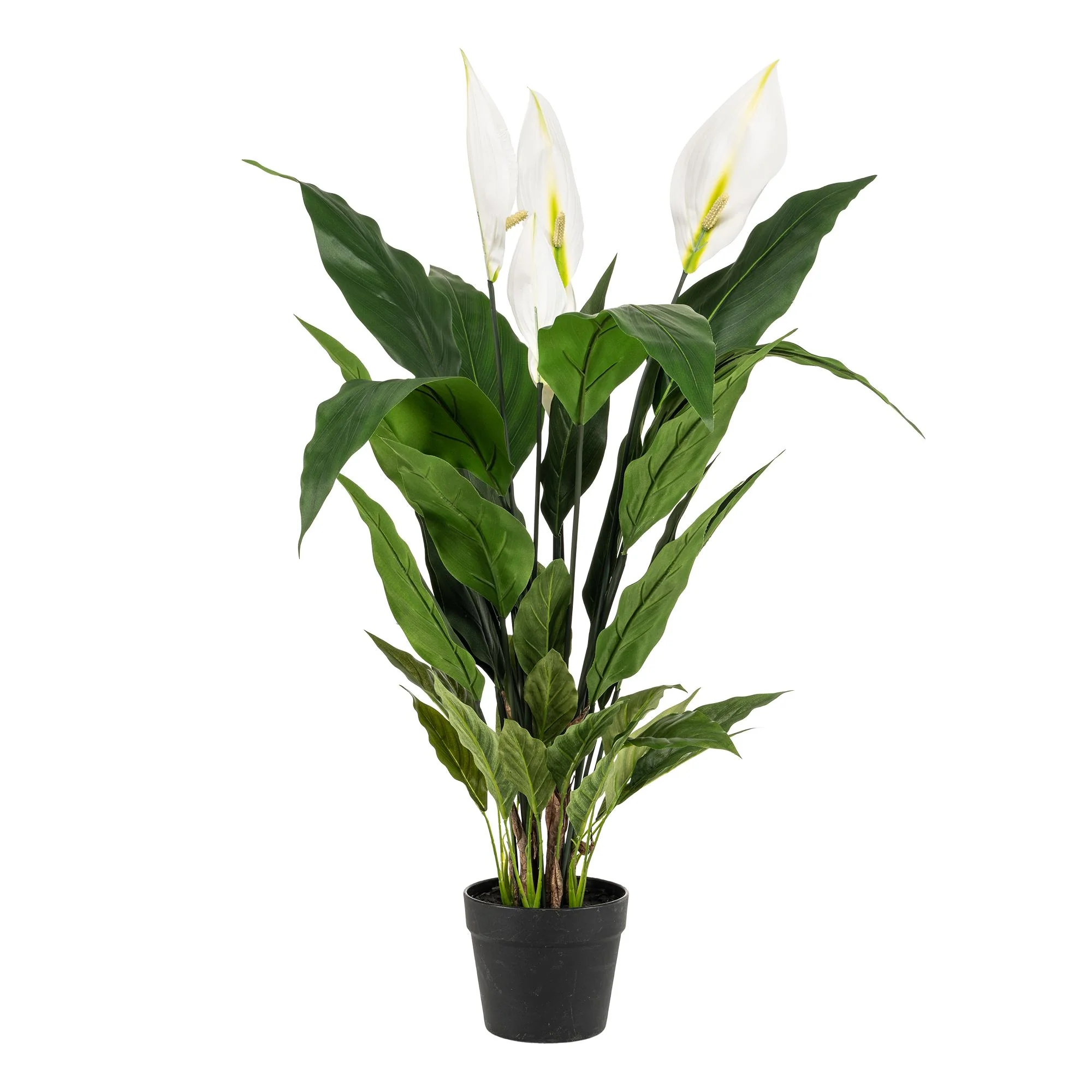 Kunstpflanze Spathiphyllum – Pflegeleicht & Elegant