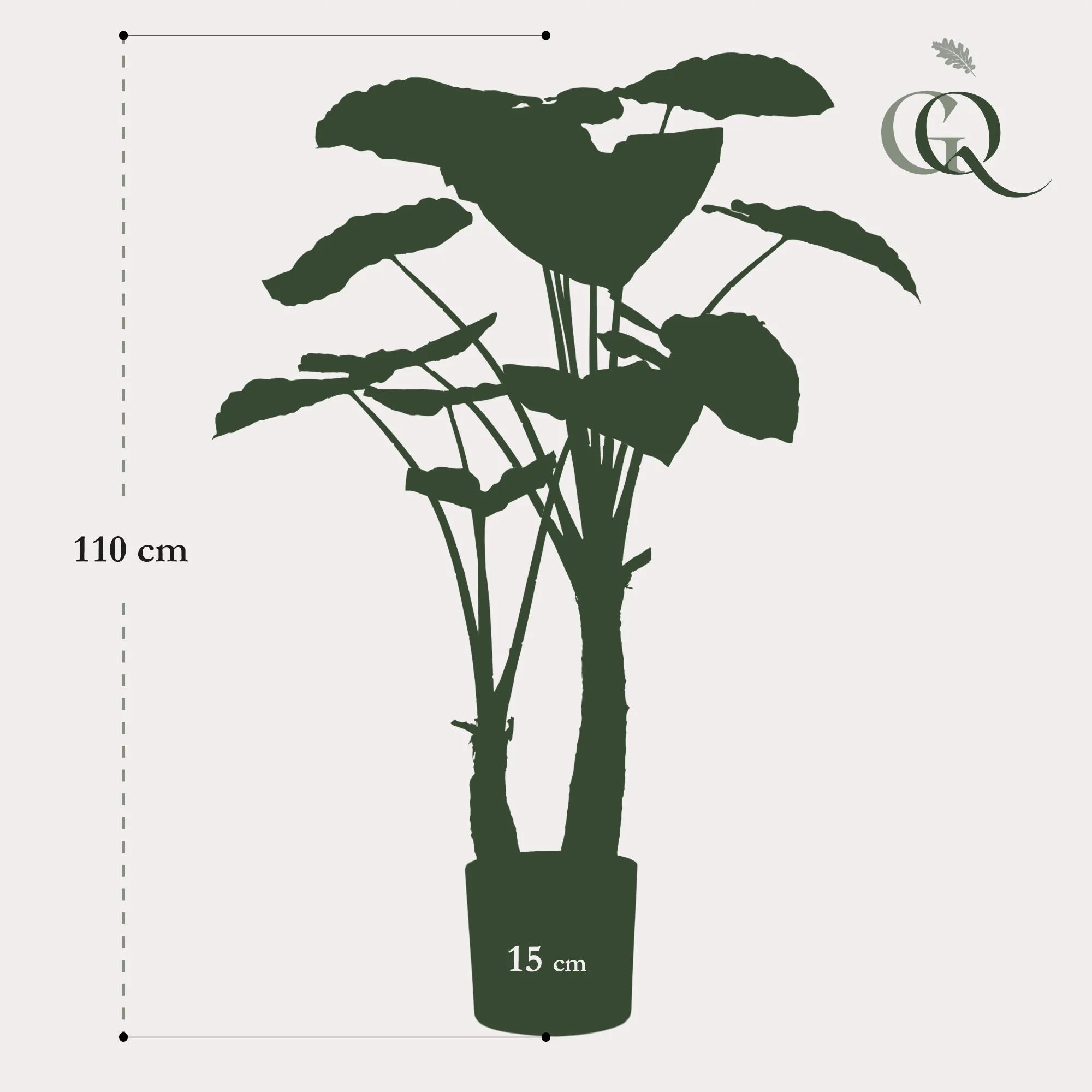 Alocasia Kunstpflanze – Pflegeleicht und dekorativ