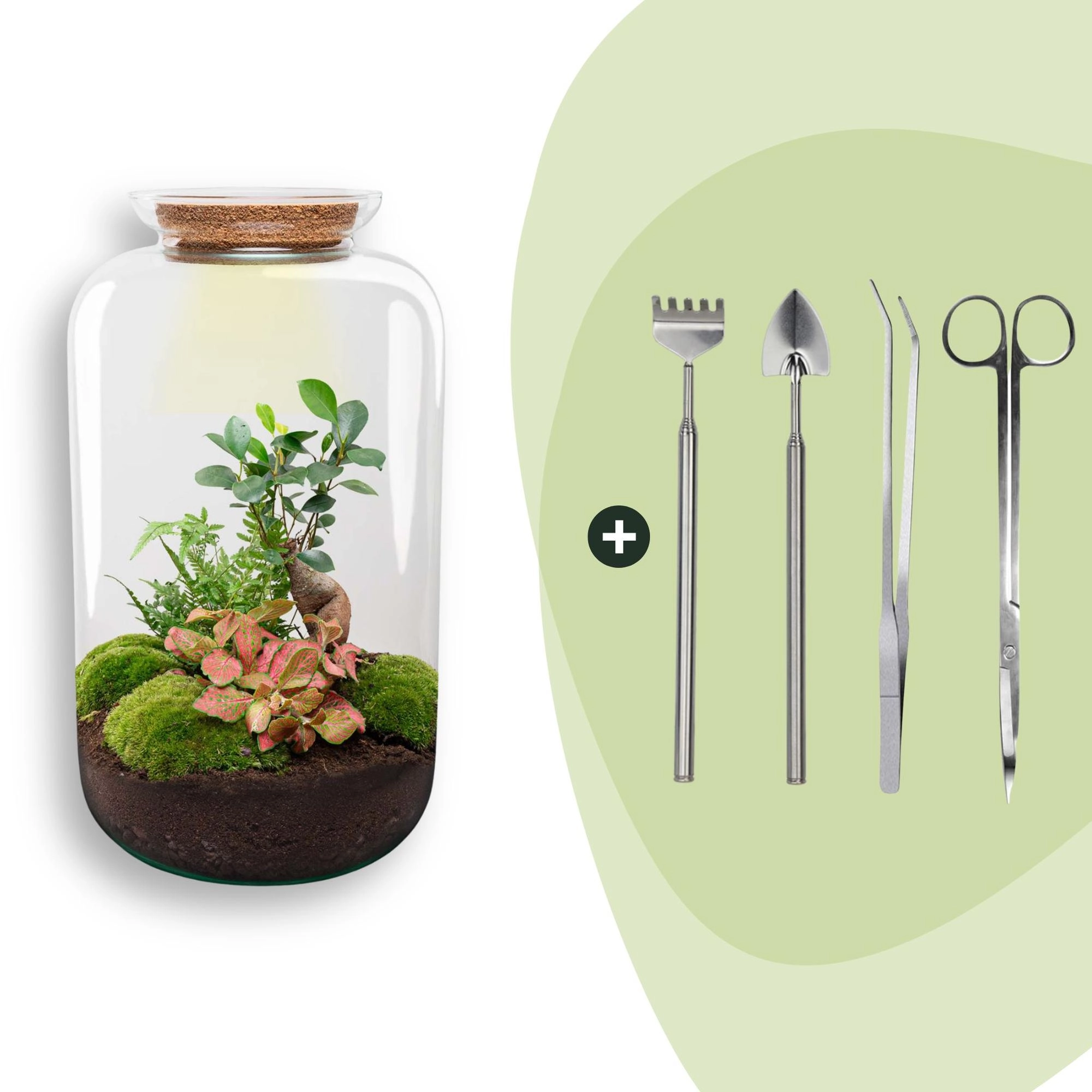 Flaschengarten - Sven Bonsai - ↕ 43 cm - Rake + Shovel + Tweezer + Scissors Bild 1