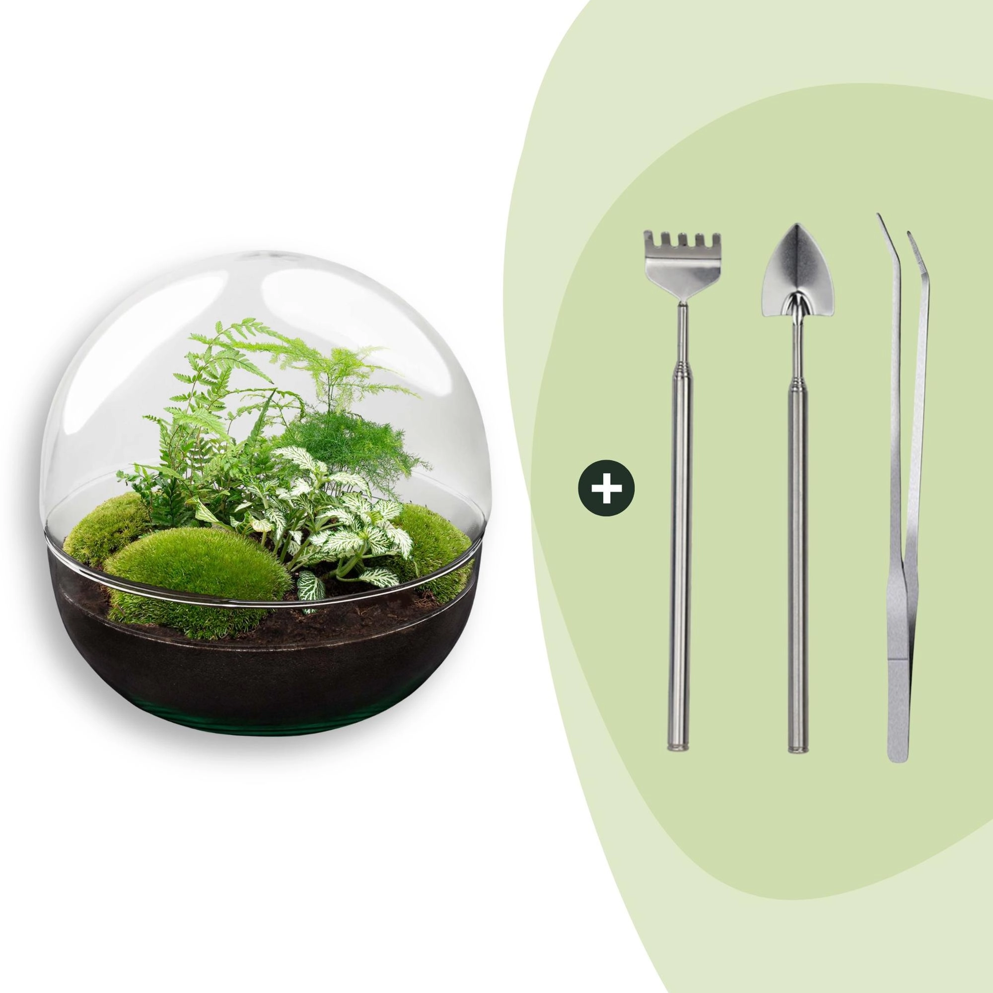 Flaschengarten - Dome XL - ↕ 30 cm - Rake + Shovel + Tweezer Bild 1